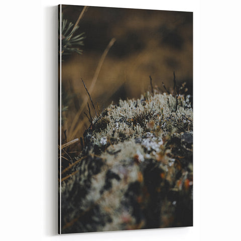 Autumn Forest Textures – Fall Wall Art, Fall Canvas Art Print