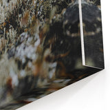 Autumn Forest Textures – Fall Wall Art, Fall Canvas Art Print