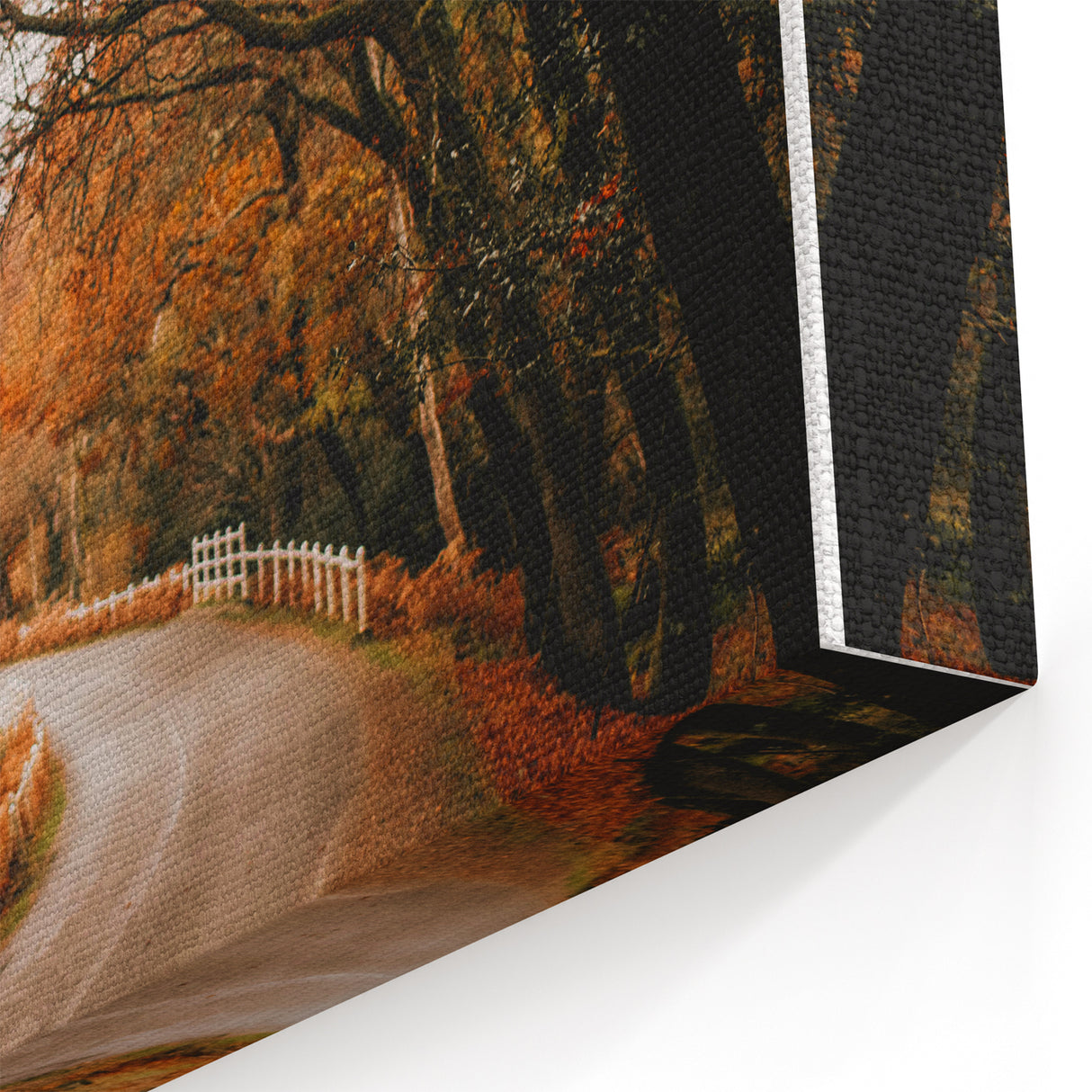 Scenic Autumn Road – Fall Canvas Art, Autumn Wall Decor