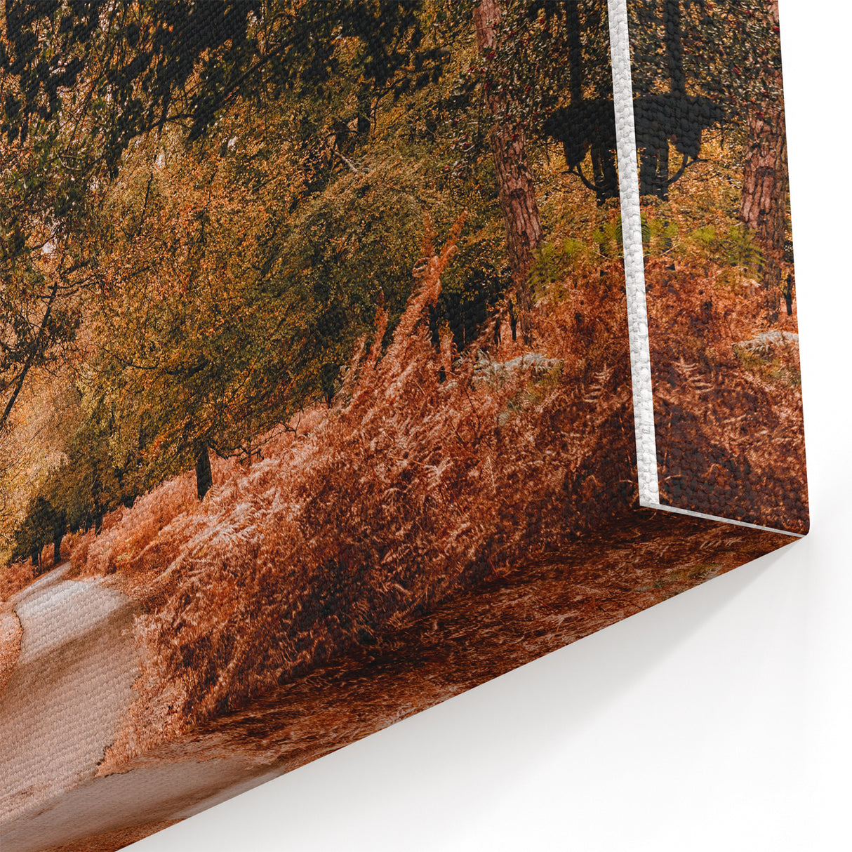 Autumn Pathway – Fall Wall Decor, Fall Art Prints