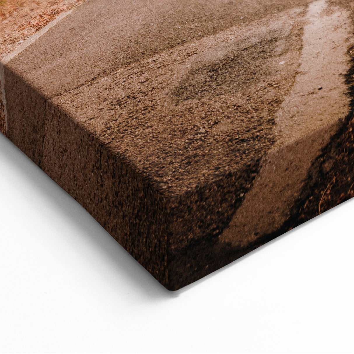 Autumn Pathway – Fall Wall Decor, Fall Art Prints