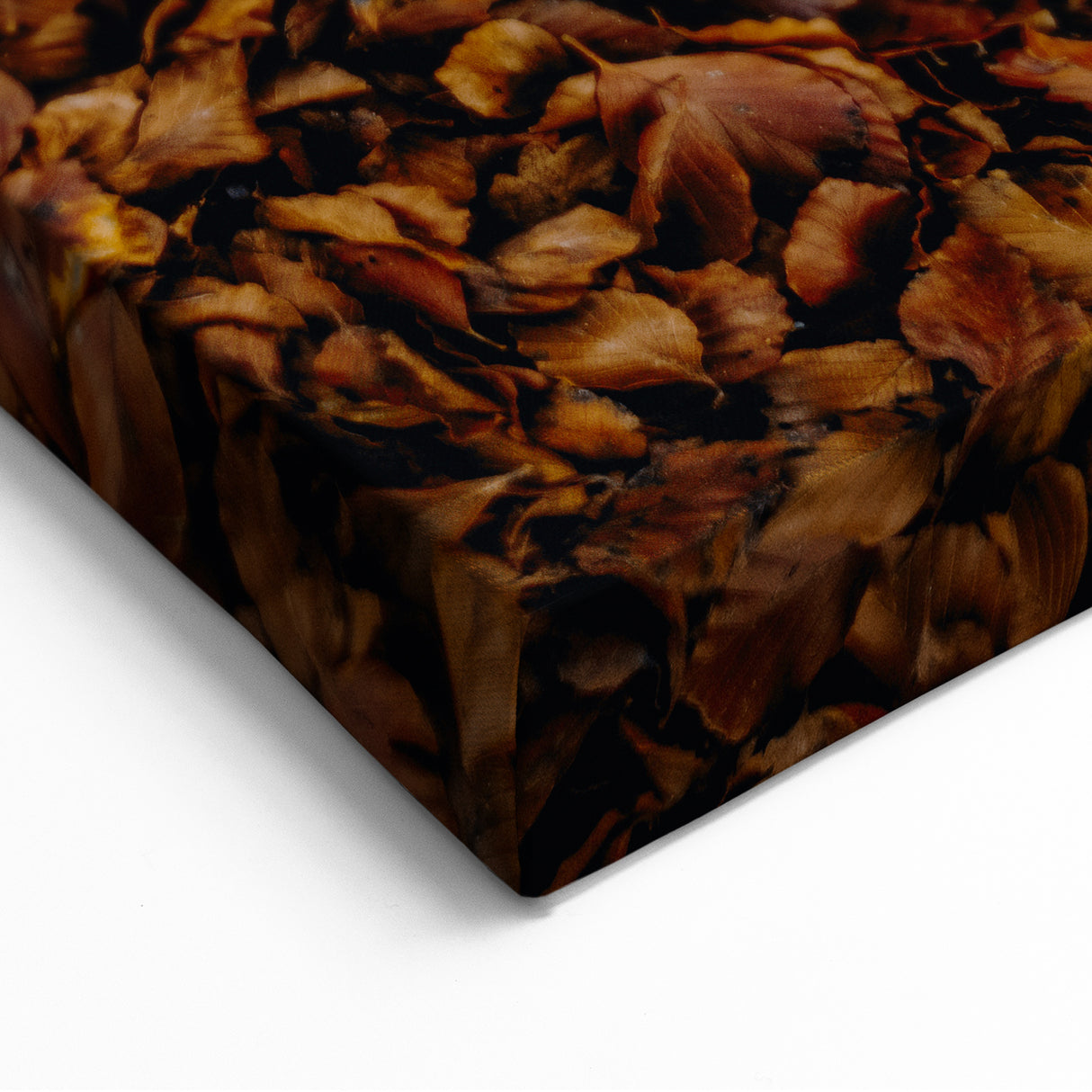 Textured Autumn Leaves – Fall Art Prints, Autumn Wall Decor