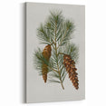 Vintage Botanical Pine Cone Art Print – Nature-Inspired Botanical Wall Art