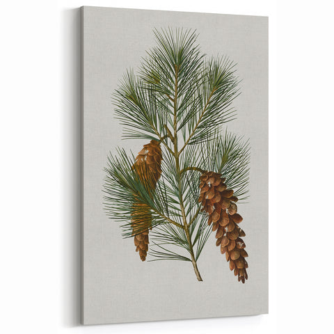 Vintage Botanical Pine Cone Art Print – Nature-Inspired Botanical Wall Art