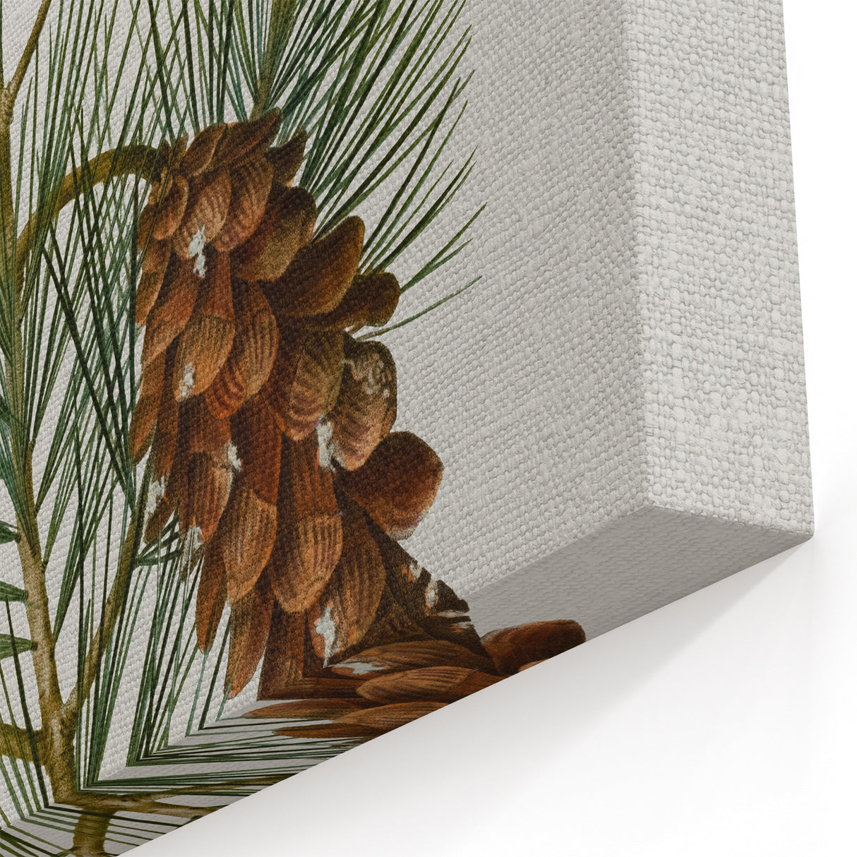 Vintage Botanical Pine Cone Art Print – Nature-Inspired Botanical Wall Art