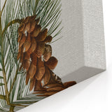 Vintage Botanical Pine Cone Art Print – Nature-Inspired Botanical Wall Art