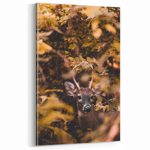 Majestic Autumn Deer – Fall Art Prints, Autumn Canvas Art