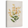 Vintage Botanical Orchid Art Print – Nature-Inspired Botanical Wall Art
