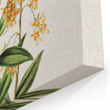 Vintage Botanical Orchid Art Print – Nature-Inspired Botanical Wall Art