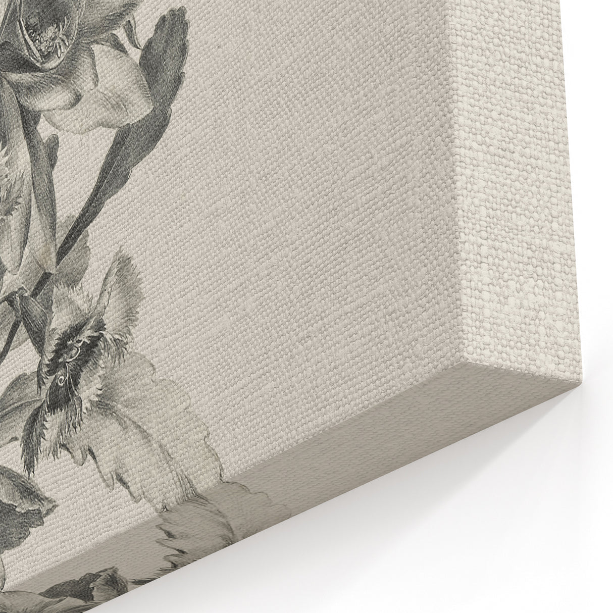 Vintage Botanical Flower Art Print – Black and White Floral Wall Art