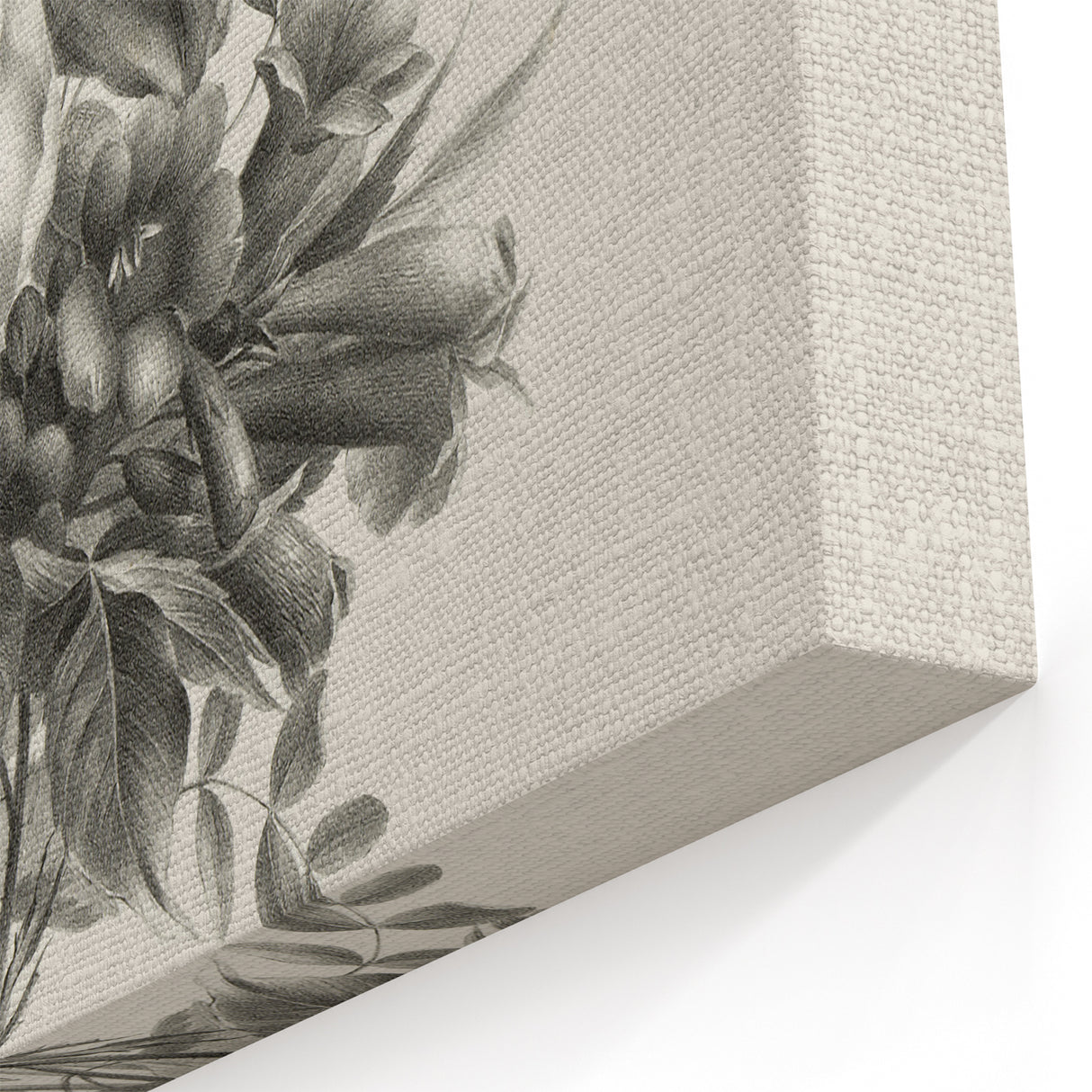 Vintage Botanical Floral Art Print – Black and White Floral Wall Art