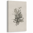 Vintage Botanical Flower Art Print – Black and White Floral Wall Art