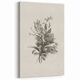 Vintage Botanical Flower Art Print – Black and White Floral Wall Art