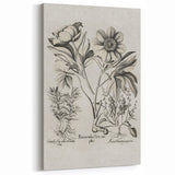 Vintage Botanical Peony and Flower Art Print – Black and White Botanical Wall Art