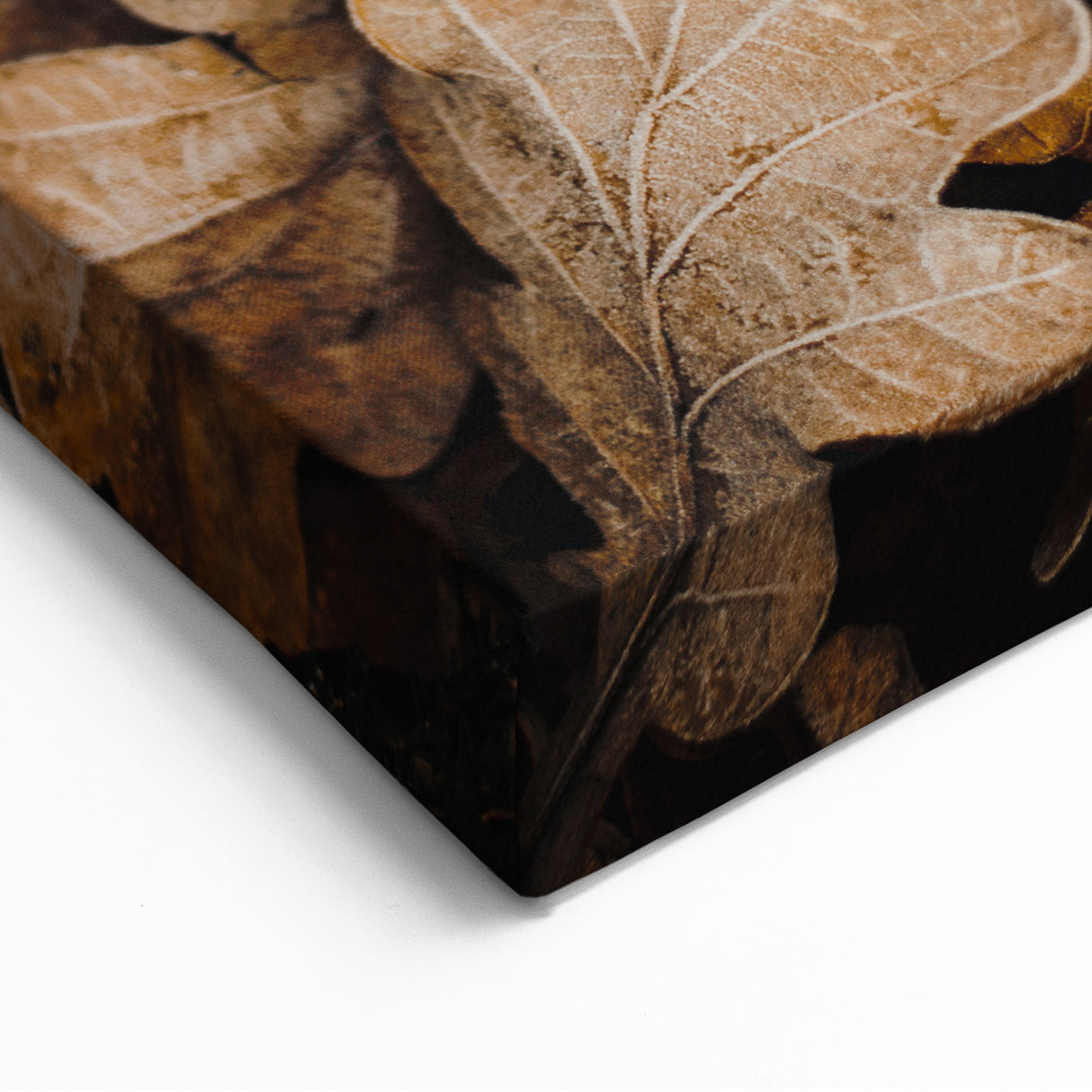 Frosted Oak Leaves Fall Wall Art – Autumn Canvas Print