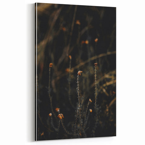 Moody Fall Wall Art – Dried Autumn Wildflowers Canvas Print