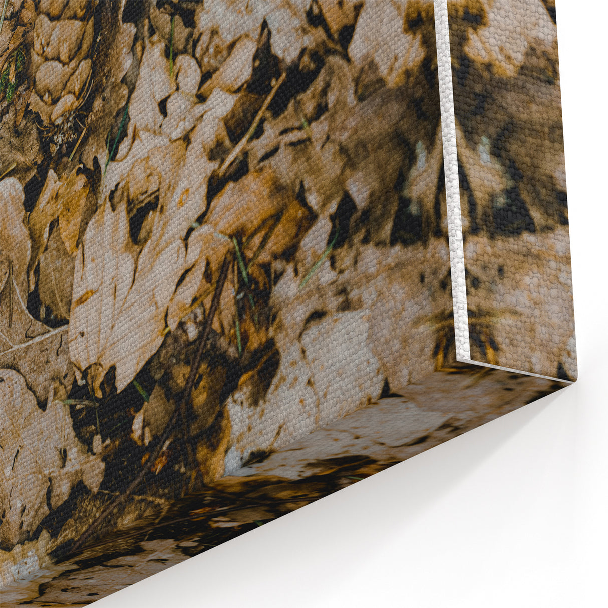 Rustic Fall Wall Art – Autumn Leaves & Pinecones Canvas Print