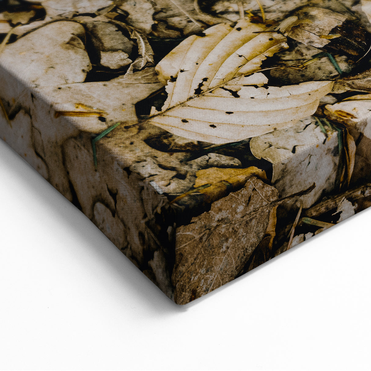 Rustic Fall Wall Art – Autumn Leaves & Pinecones Canvas Print