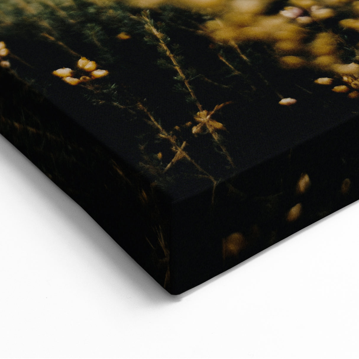 Golden Autumn Fields - Fall Wall Art Autumn Canvas Art Print