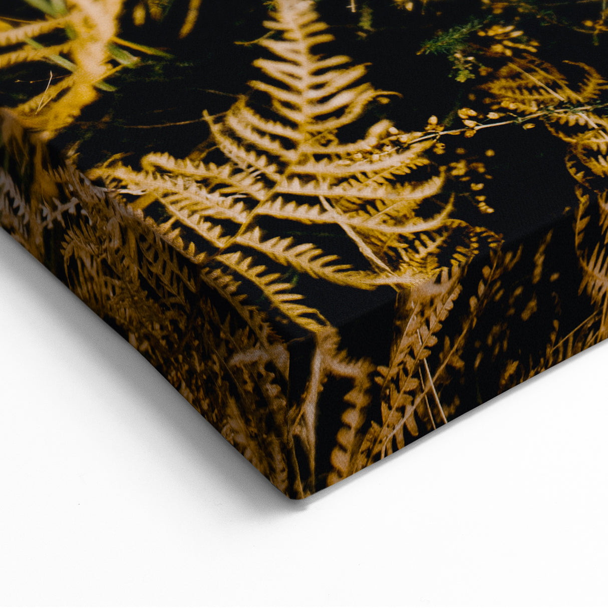 Golden Ferns - Fall Wall Art Autumn Canvas Art Print