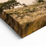 Above the Clouds - Summer Wall Art, Mountain Landscape Print