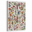 Vintage Botanical Art Print – Stunning Floral Collection