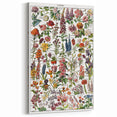 Vintage Botanical Art Print – Stunning Floral Collection