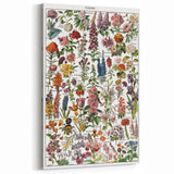 Vintage Botanical Art Print – Stunning Floral Collection