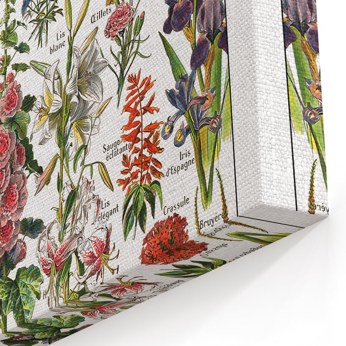 Vintage Botanical Art Print – Stunning Floral Collection