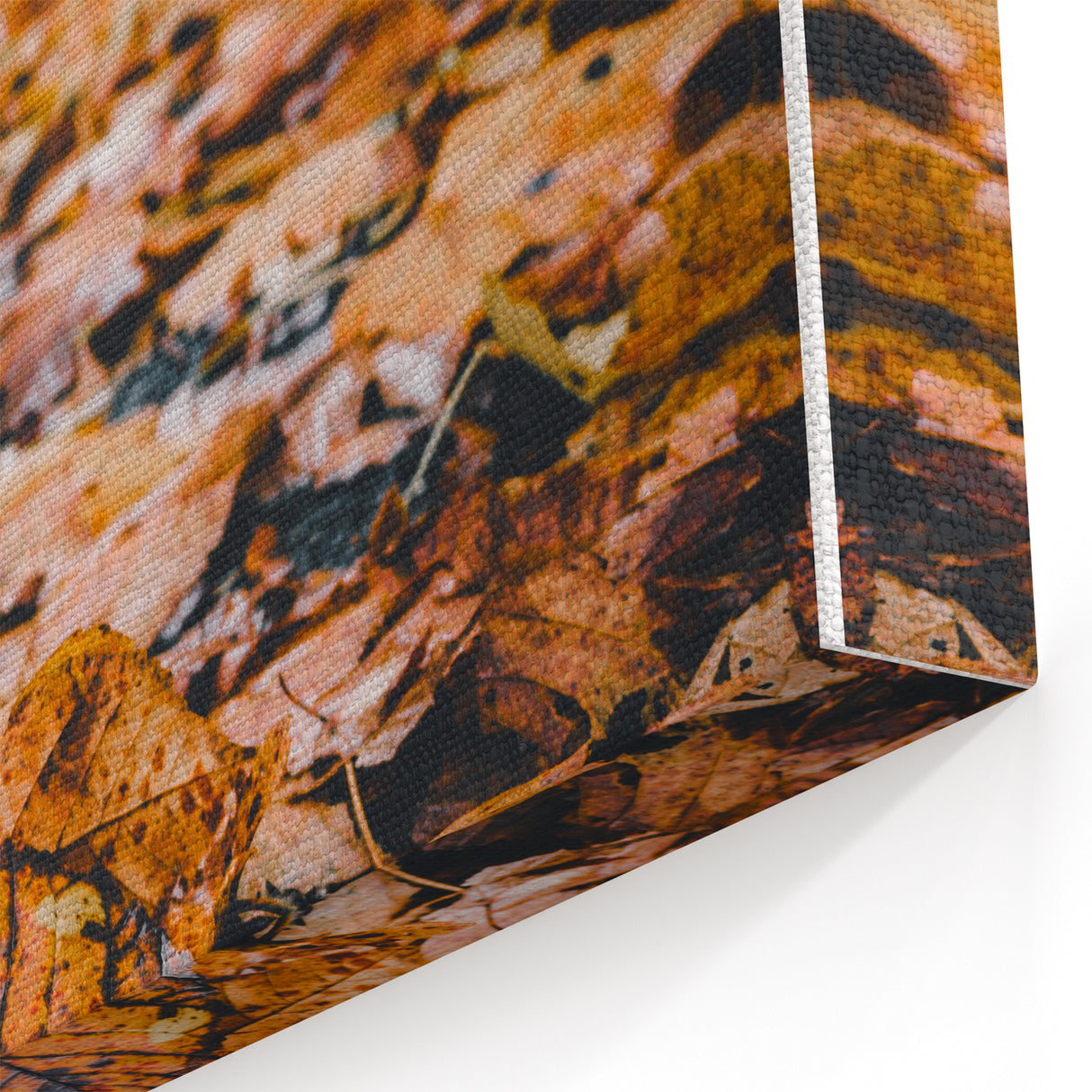 Fallen Autumn Leaves - Fall Wall Art Autumn Canvas Art Print