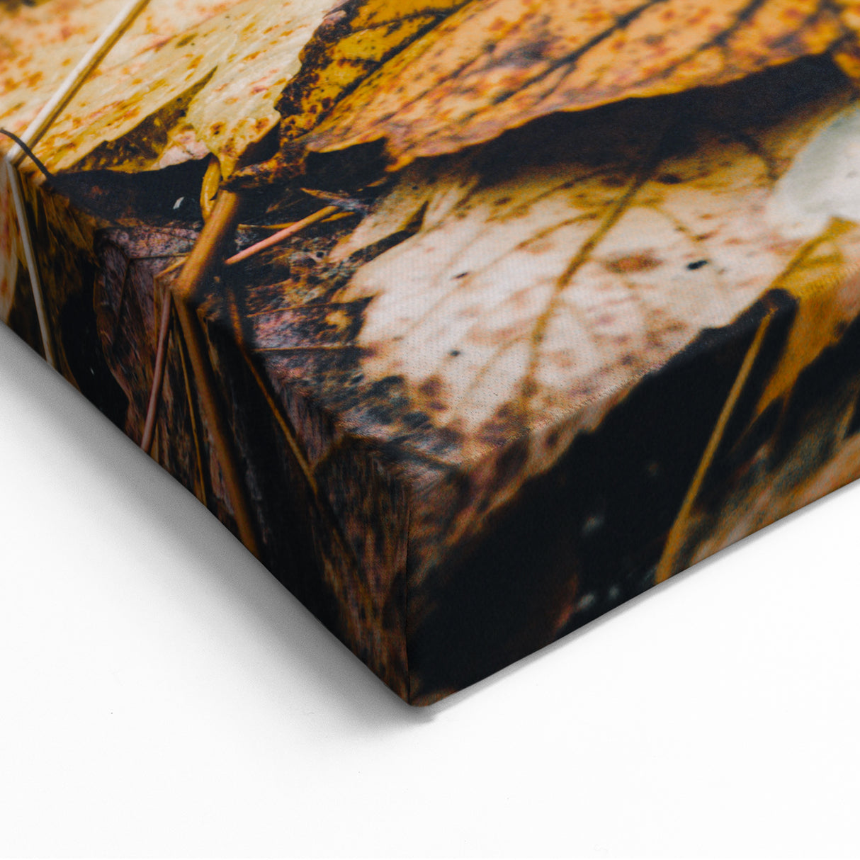 Fallen Autumn Leaves - Fall Wall Art Autumn Canvas Art Print