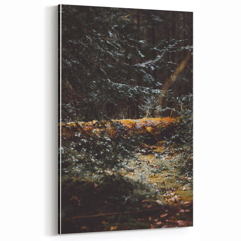 Autumn Forest Light - Fall Wall Art Autumn Canvas Art Print