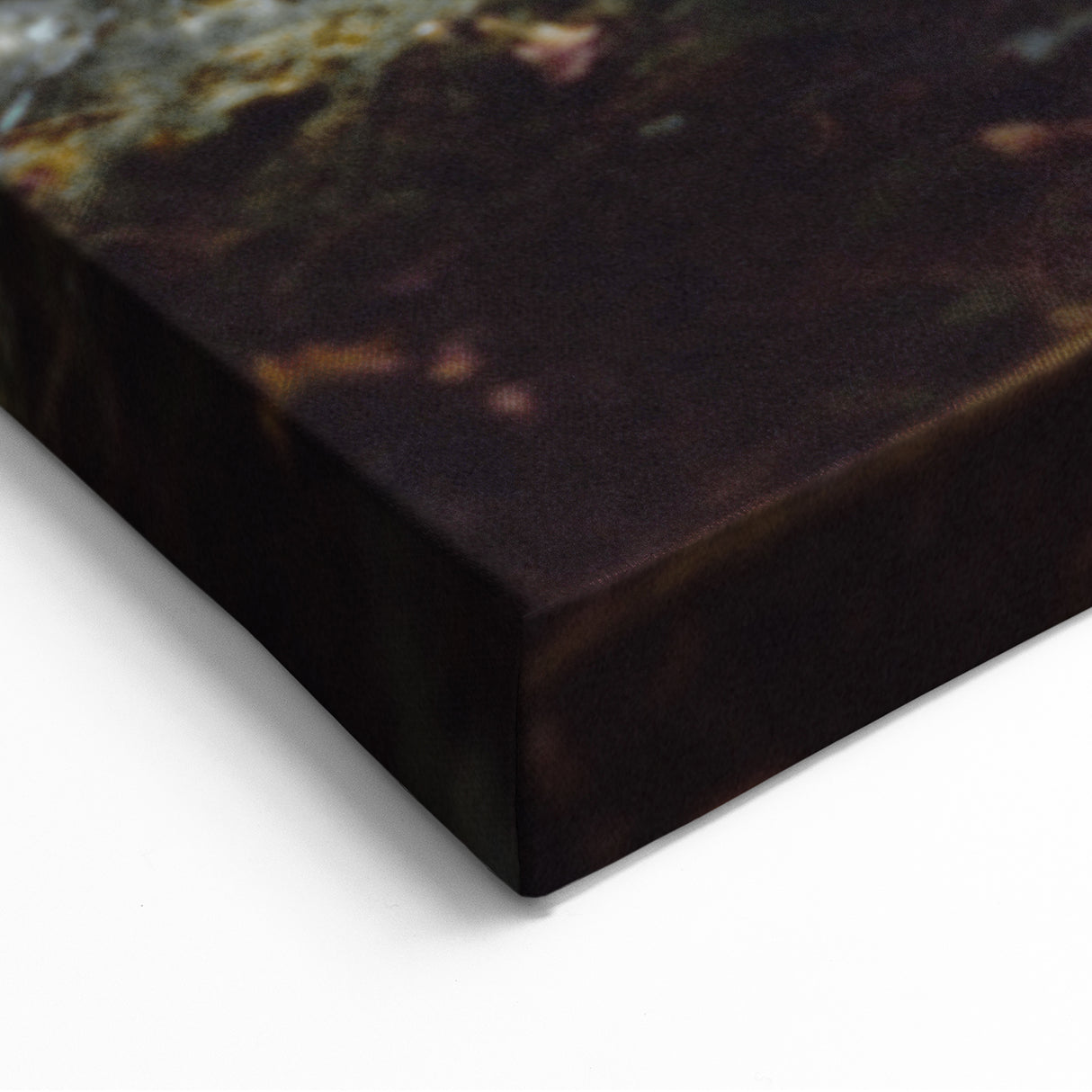 Autumn Forest Light - Fall Wall Art Autumn Canvas Art Print