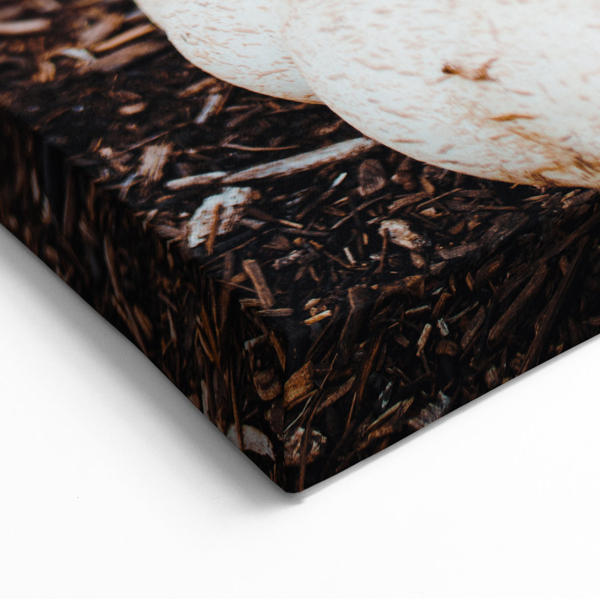 Stacked Harvest Pumpkins - Fall Wall Art Autumn Canvas Art