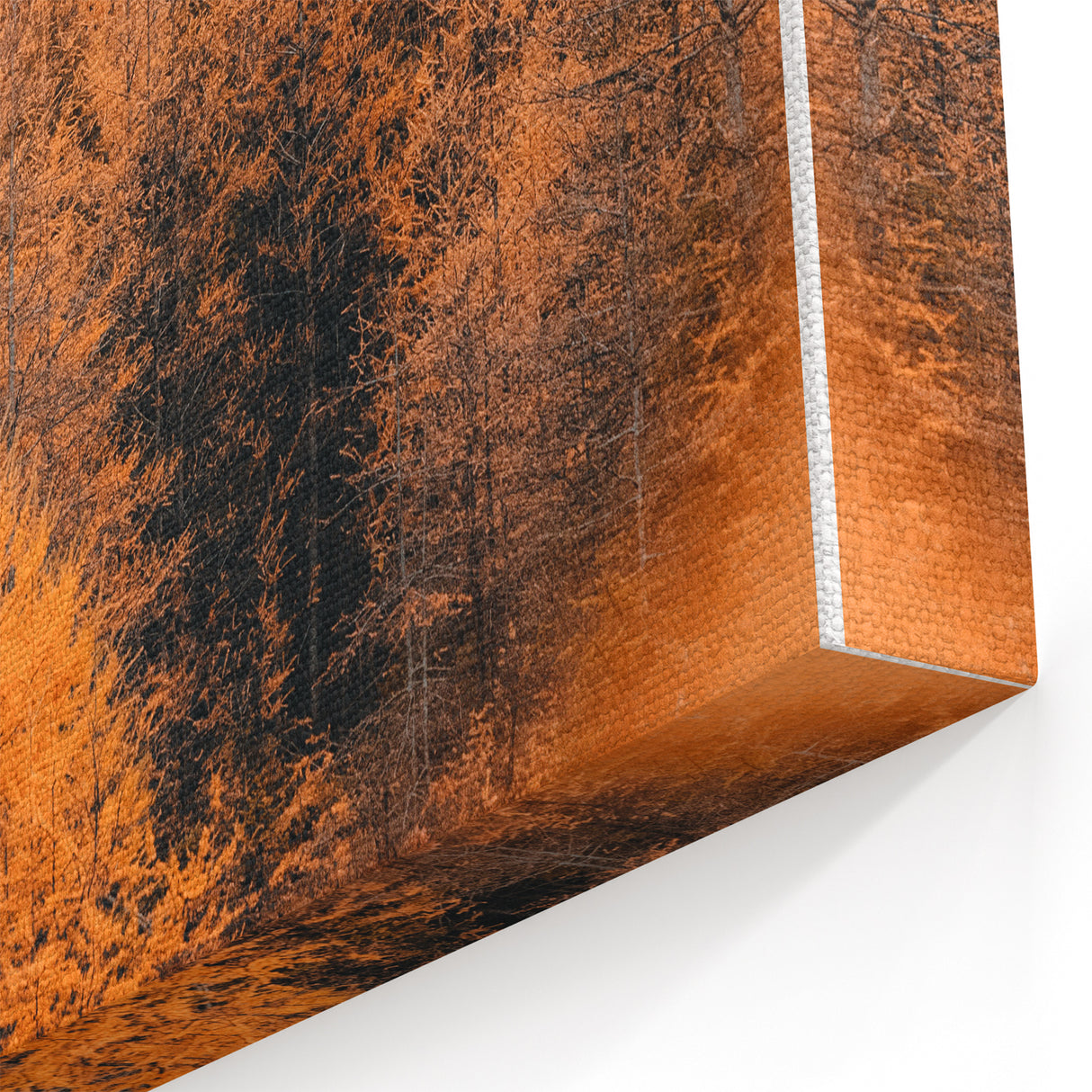 Golden Autumn Forest - Fall Wall Art Autumn Canvas Art Print