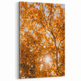 Golden Sunlit Leaves - Fall Wall Art Autumn Canvas Art Print