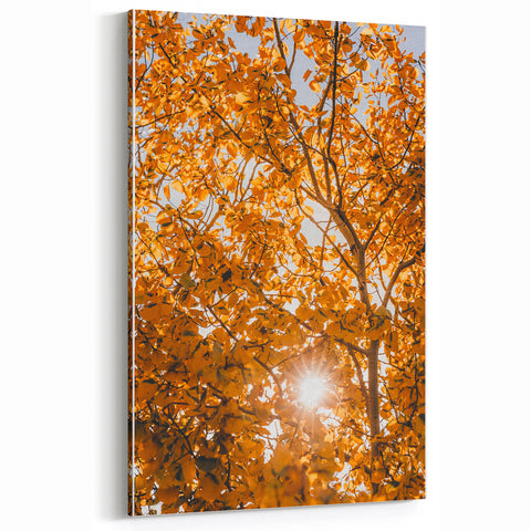 Golden Sunlit Leaves - Fall Wall Art Autumn Canvas Art Print
