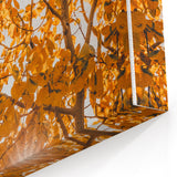 Golden Sunlit Leaves - Fall Wall Art Autumn Canvas Art Print