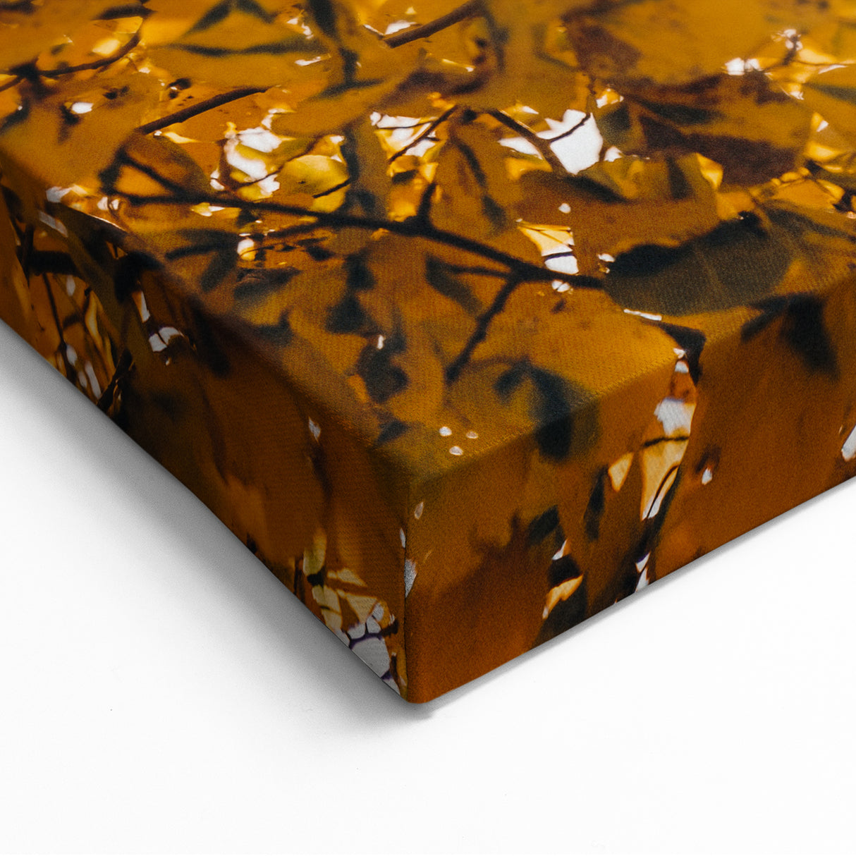 Golden Sunlit Leaves - Fall Wall Art Autumn Canvas Art Print