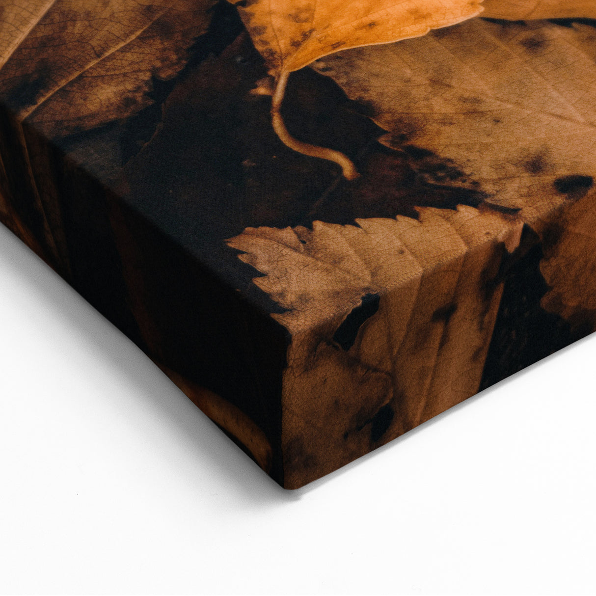 Rustic Fall Wall Art – Autumn Leaves Canvas Print for Home Décor