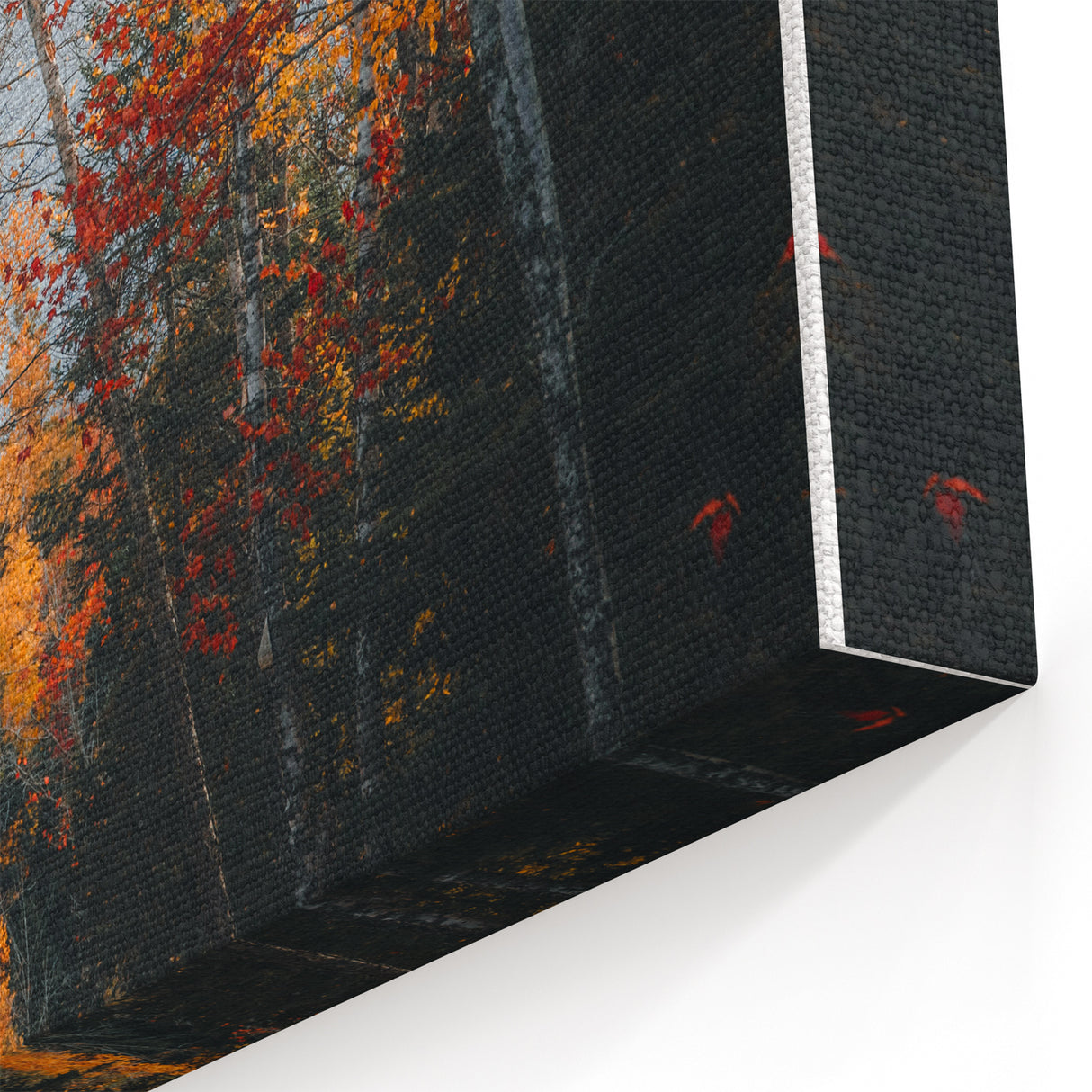 Golden Autumn Forest – Fall Wall Art with Vibrant Foliage