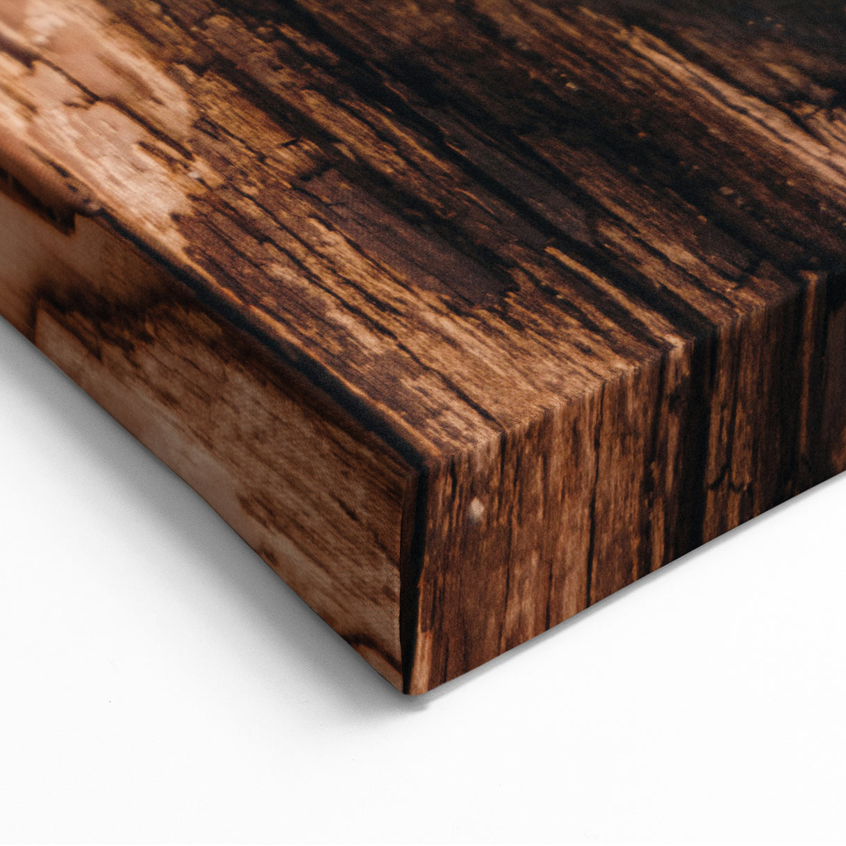 Rustic Tree Bark Fall Wall Art – Nature-Inspired Canvas Print