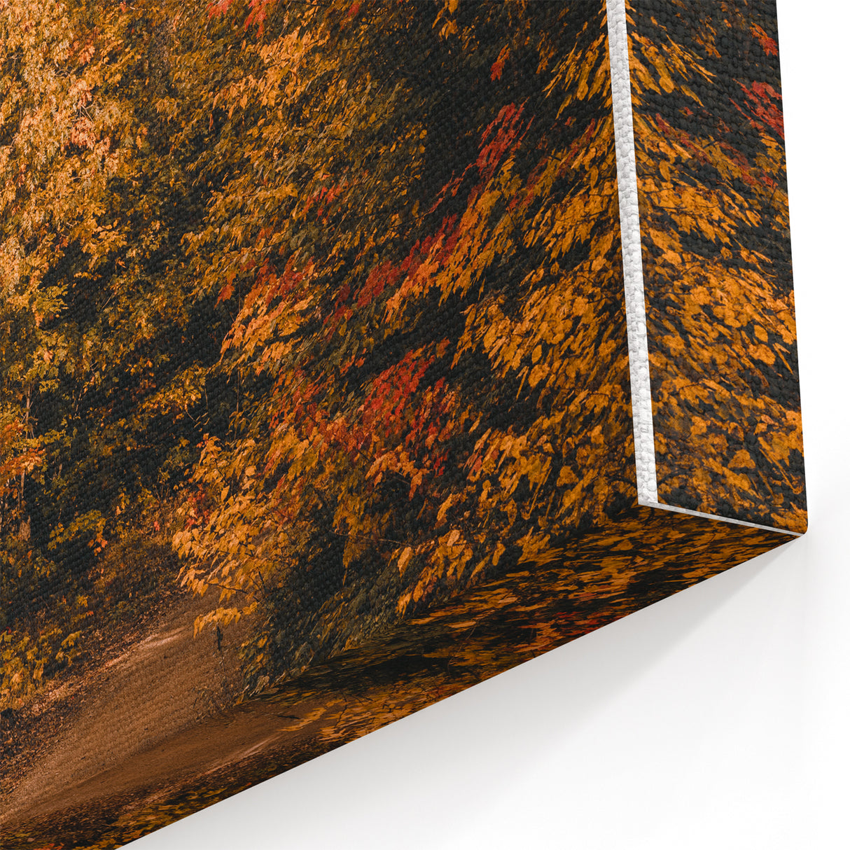 Scenic Autumn Road – Fall Wall Art with Vibrant Foliage