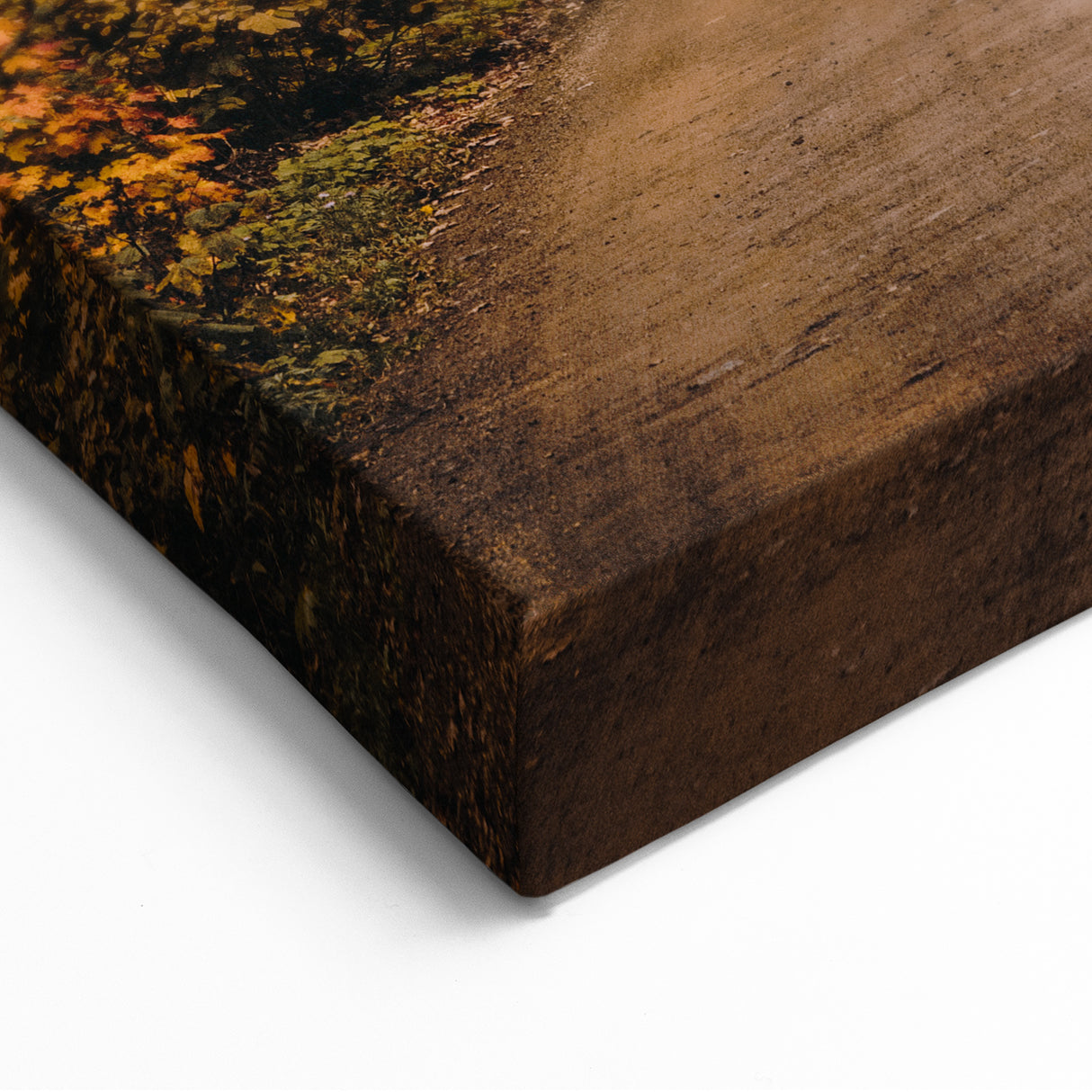 Scenic Autumn Road – Fall Wall Art with Vibrant Foliage