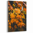 Golden Maple Leaves – Fall Wall Art for Seasonal Décor