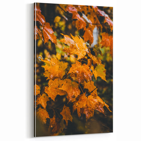 Golden Maple Leaves – Fall Wall Art for Seasonal Décor