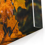 Golden Maple Leaves – Fall Wall Art for Seasonal Décor