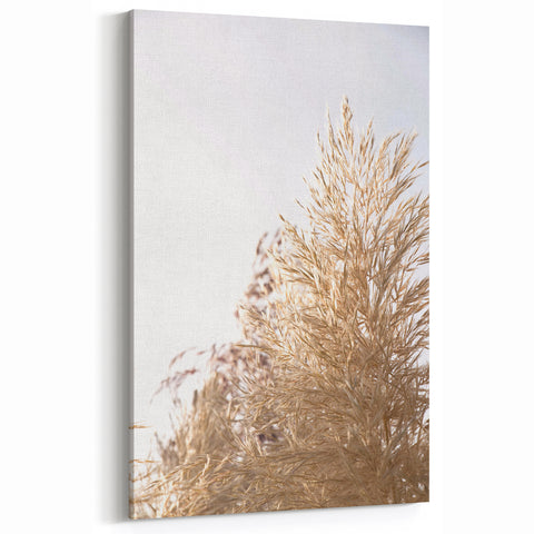 Sunlit Pampas Grass - Summer Wall Art, Nature-Inspired Decor