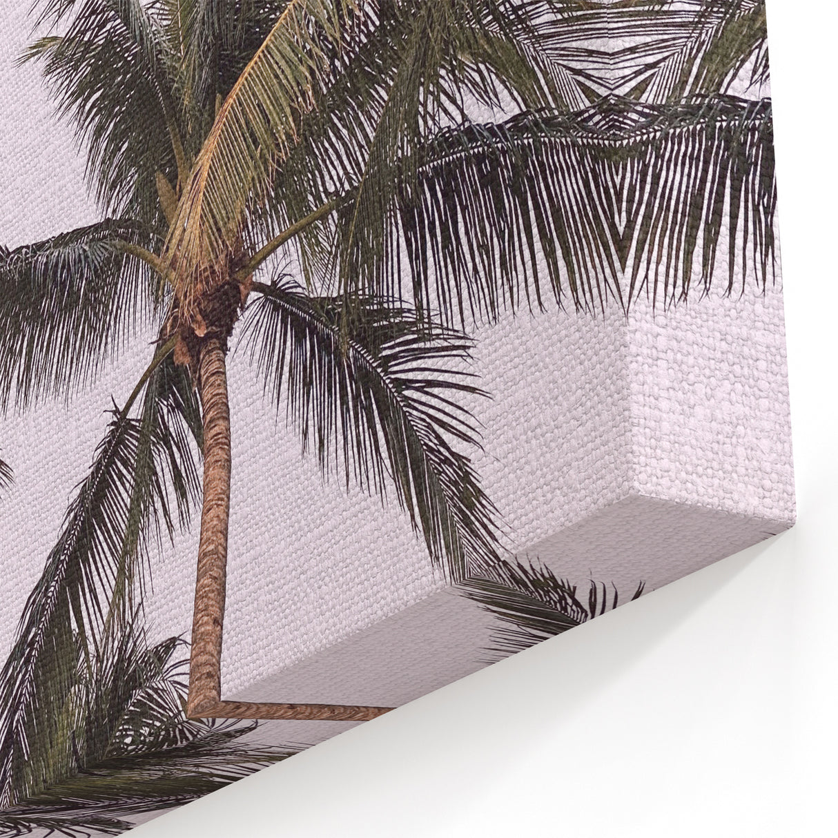 Tropical Palm Trees - Summer Wall Art, Coastal Nature Print