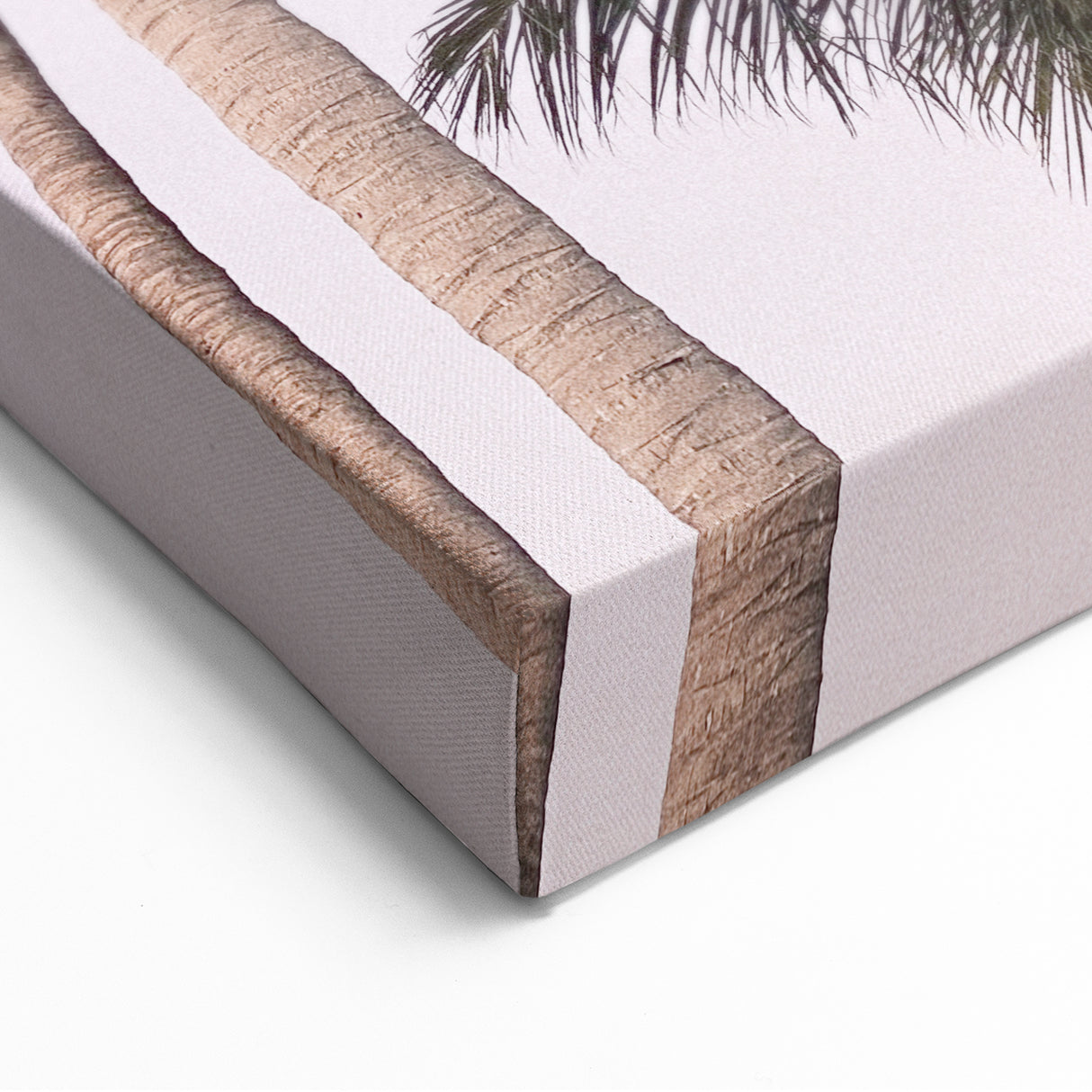 Tropical Palm Trees - Summer Wall Art, Coastal Nature Print